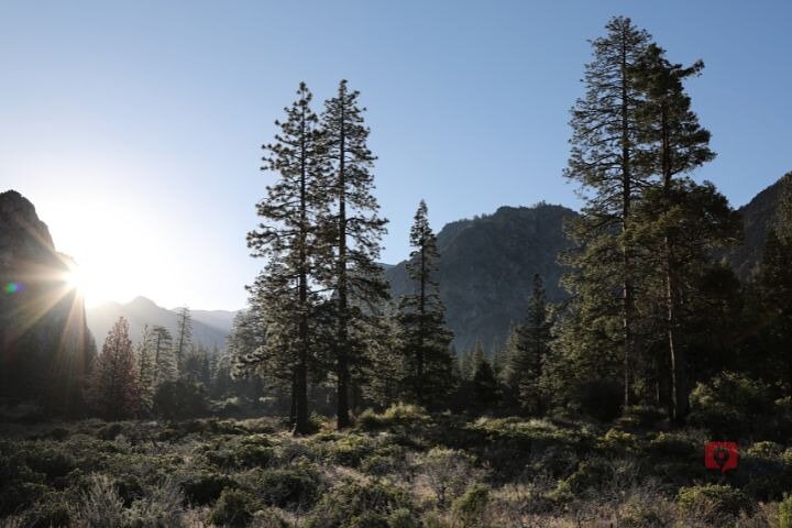 Tour de conducción con audio autoguiado en Sequoia y Kings Canyon