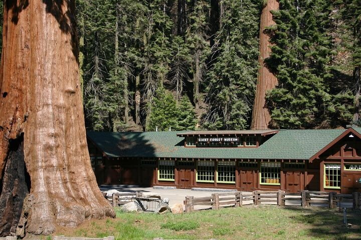 Tour de conducción con audio autoguiado en Sequoia y Kings Canyon