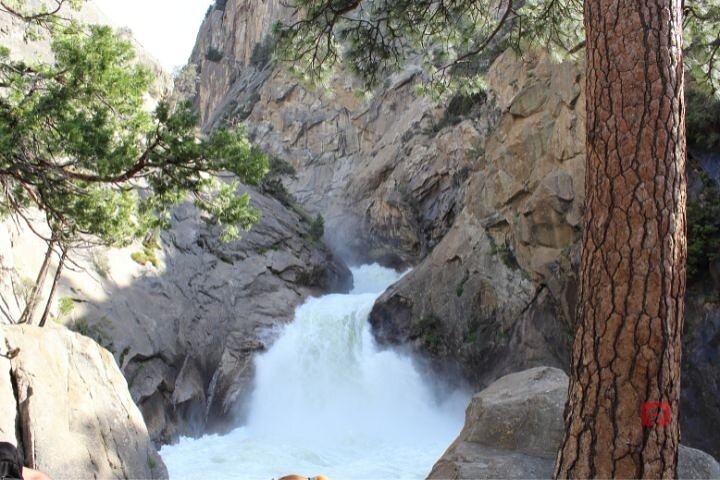 Tour de conducción con audio autoguiado en Sequoia y Kings Canyon