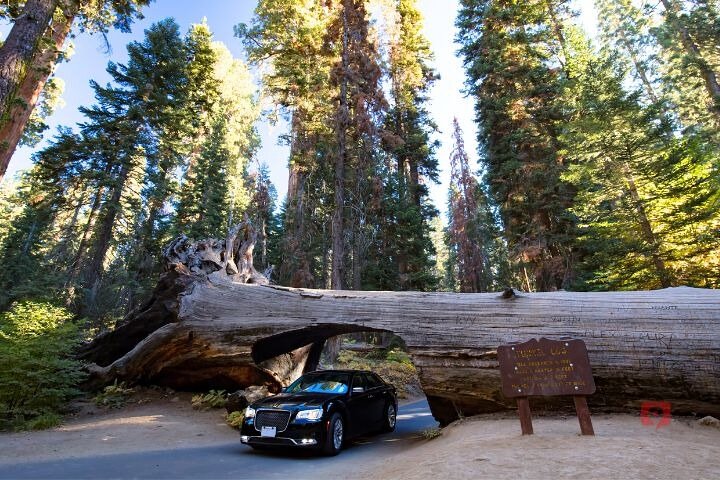Tour de conducción con audio autoguiado en Sequoia y Kings Canyon