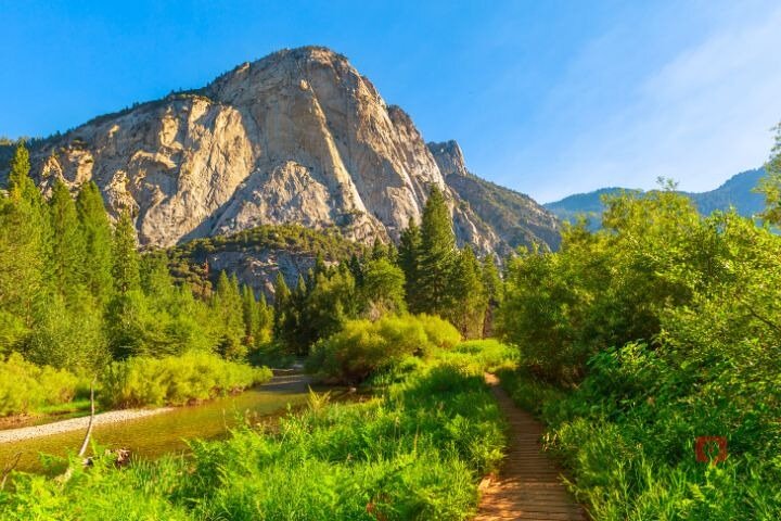 Tour de conducción con audio autoguiado en Sequoia y Kings Canyon