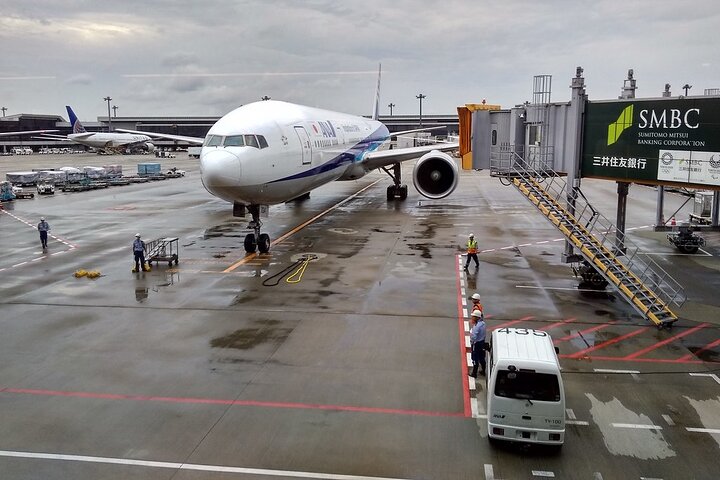 Transferência do aeroporto entre Narita e Monte Fuji ou Hakone Onsen