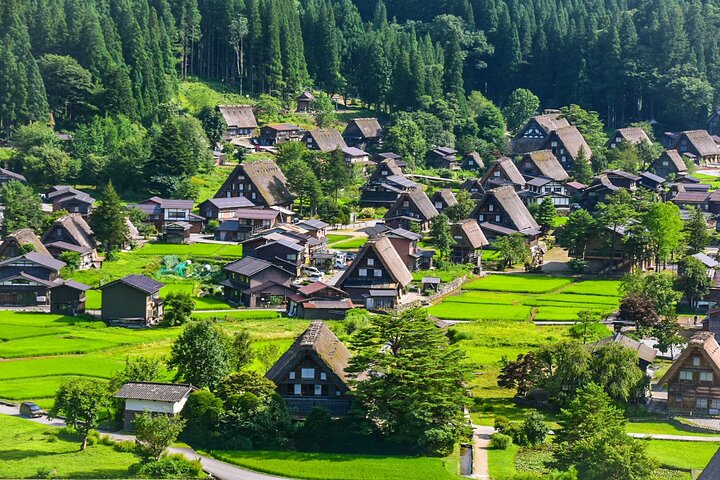 Excursão de 1 dia a Takayama: explore a paisagem de Takayama e Shirakawago