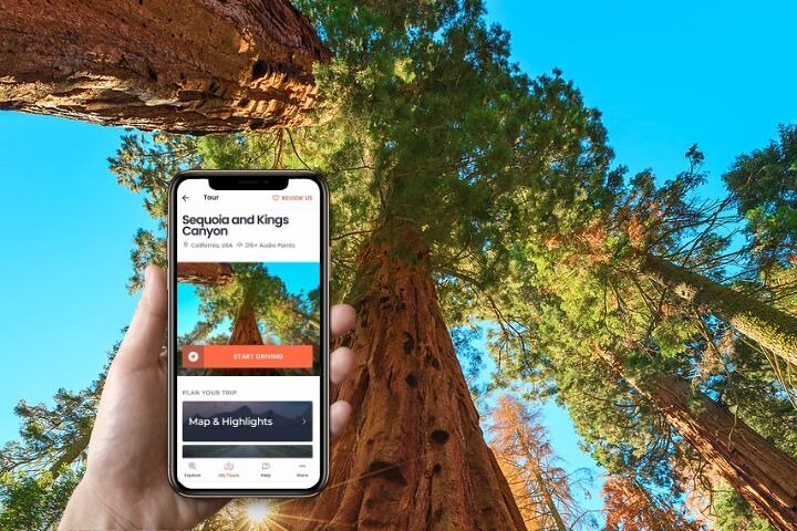 Tour de conducción con audio autoguiado en Sequoia y Kings Canyon