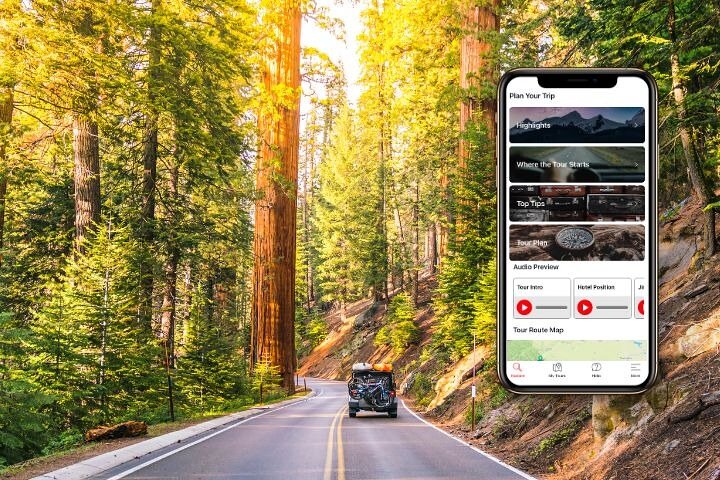 Tour de conducción con audio autoguiado en Sequoia y Kings Canyon