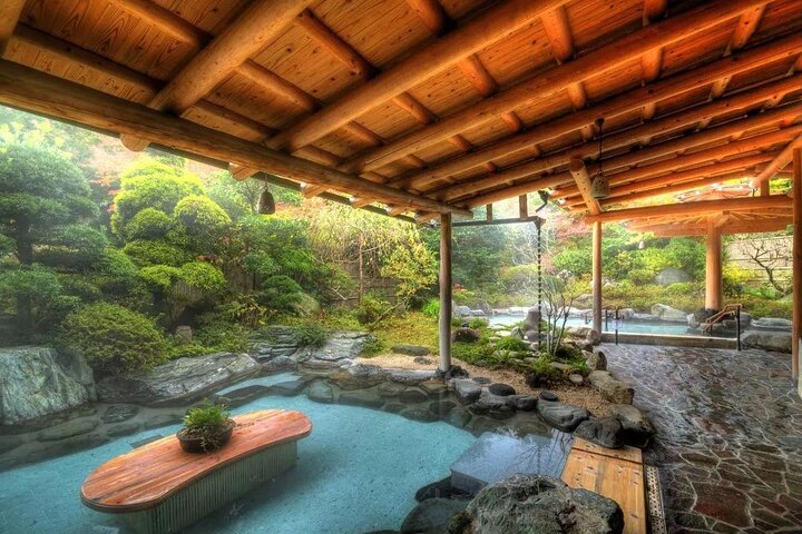 Transferência do aeroporto entre Narita e Monte Fuji ou Hakone Onsen