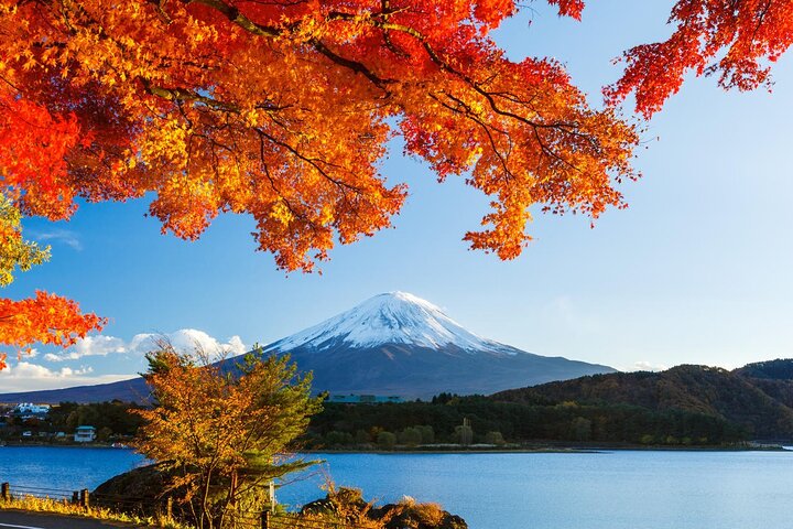 Transferência do aeroporto entre Narita e Monte Fuji ou Hakone Onsen