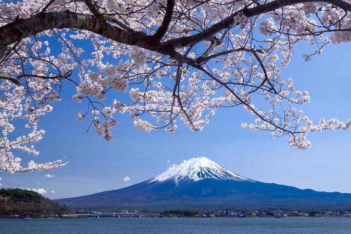 Transferência do aeroporto entre Narita e Monte Fuji ou Hakone Onsen