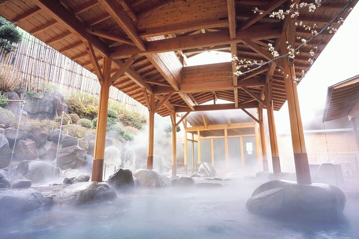 Transferência do aeroporto entre Narita e Monte Fuji ou Hakone Onsen