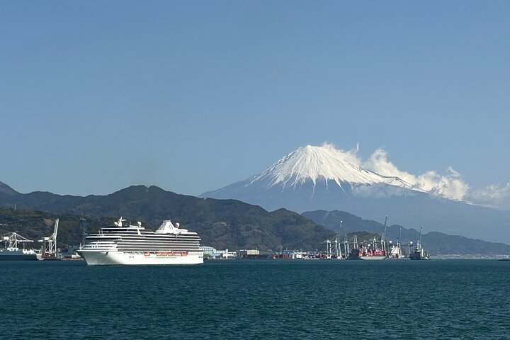 Privat sightseeingtur fra Shimizu Port / Van Taxi