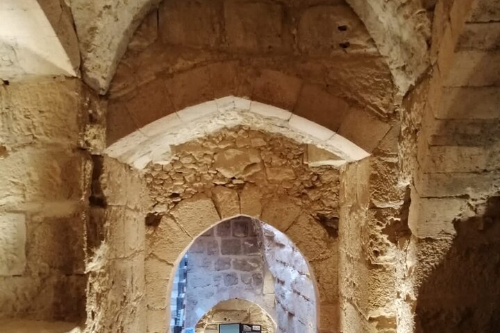 Von Amman: Private Ganztages-Gruppentour Jerash Ajloun und Amman