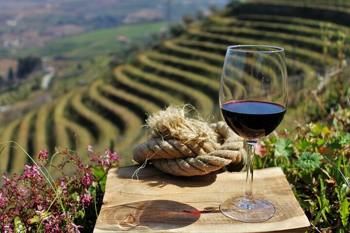 Privat Douro Valley Tour - 2 vingårdar och 1 timmes flodkryssning