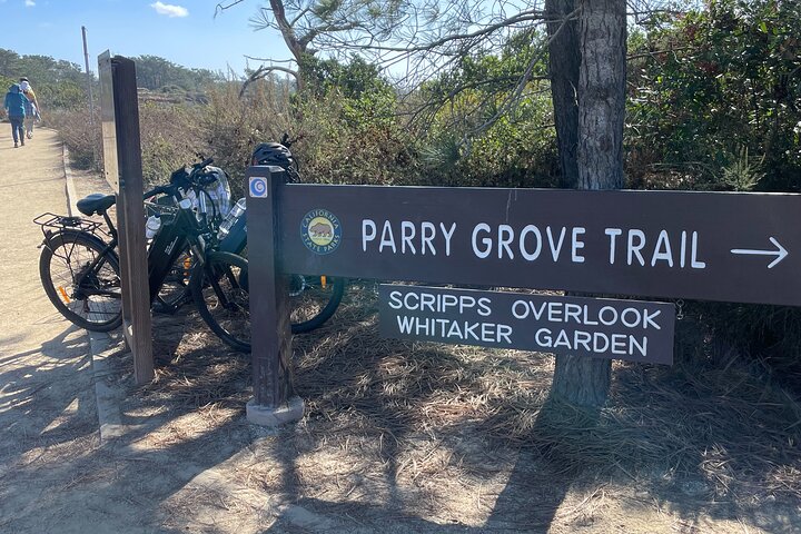 Lyxig guidad elektrisk cykeltur till Torrey Pines