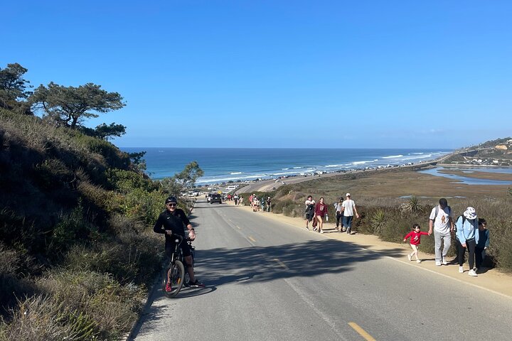Lyxig guidad elektrisk cykeltur till Torrey Pines