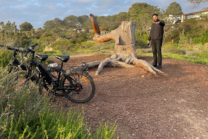 Lyxig guidad elektrisk cykeltur till Torrey Pines
