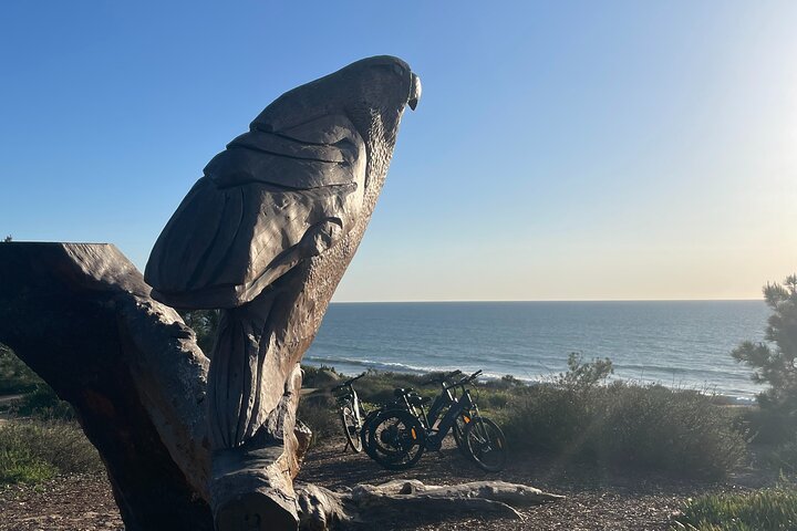 Lyxig guidad elektrisk cykeltur till Torrey Pines