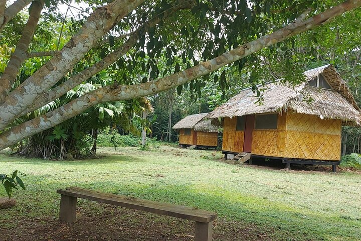 Yasuni National Park 3 dias 2 noites na Amazônia do Equador, quartos confortáveis