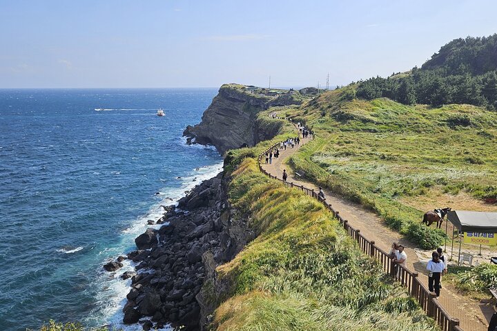 Jeju South-West Essentials : Hallasan & Signature hoogtepunten