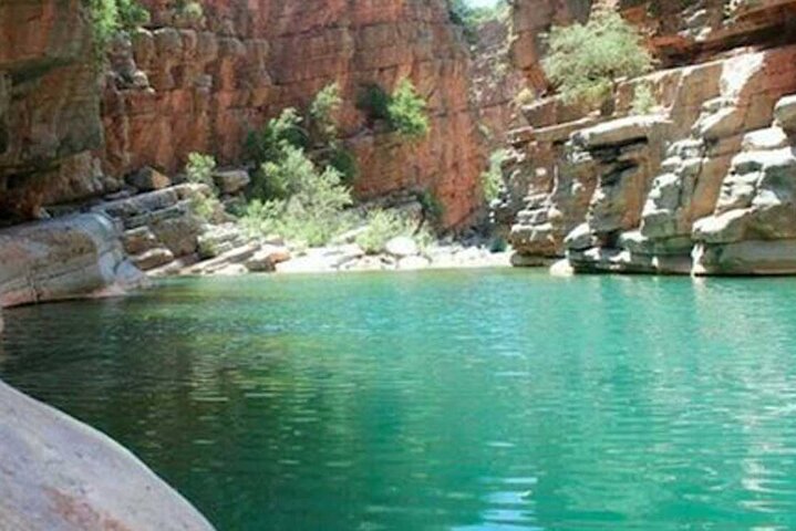 Paradise Valley tur & Geder på Argan træer pakke fra Agadir
