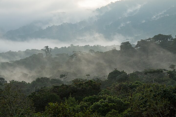 360° Jungle Day Tour Expedition Amazonia Ecuador rainforest