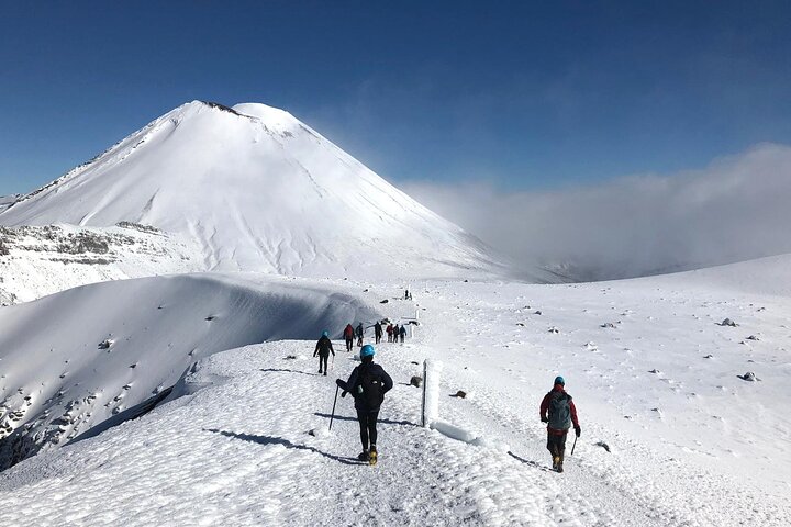 Passeggiata di gruppo guidata premium del Tongariro Crossing