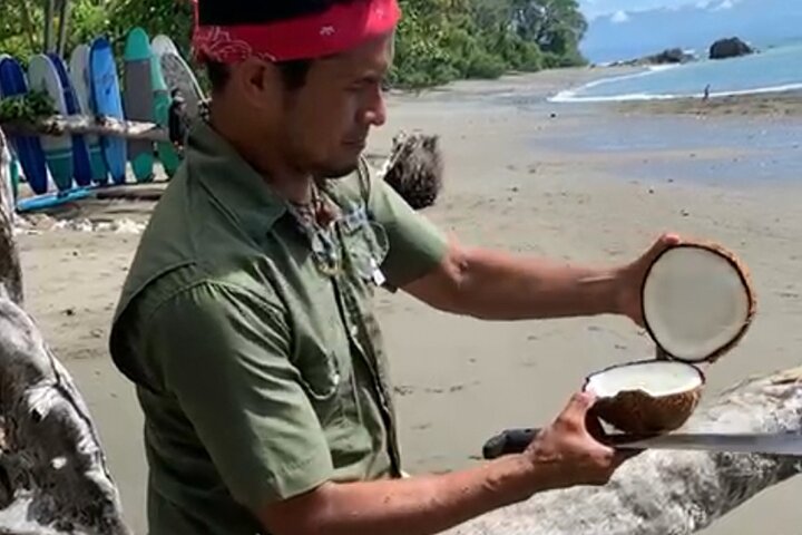4 timmars privat guidad tur i Osa Jungle