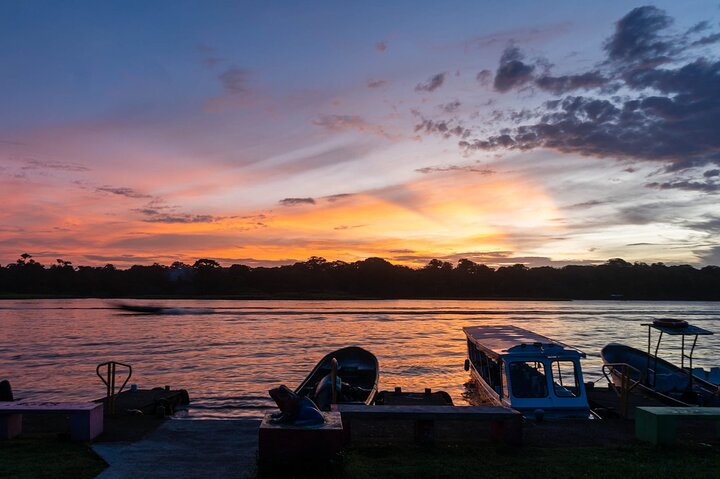 Tortuguero: Nester-Tour + Kanu-Tour + Dschungel-Nachttour