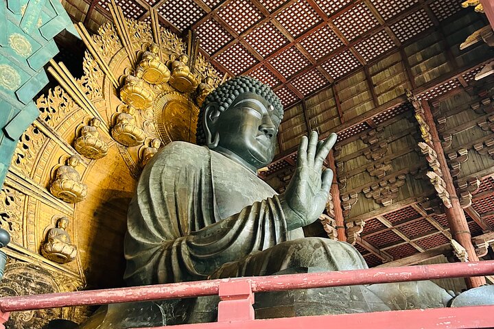 Nara Early Morning Tour Kyoto eller Osaka Avreise tilgjengelig