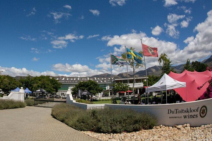 Big Five Safari and Breede River Valley Guided Day Trip