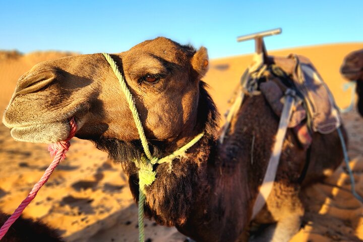Övernattningsupplevelse från Merzouga i Dunes of Erg Chebbi
