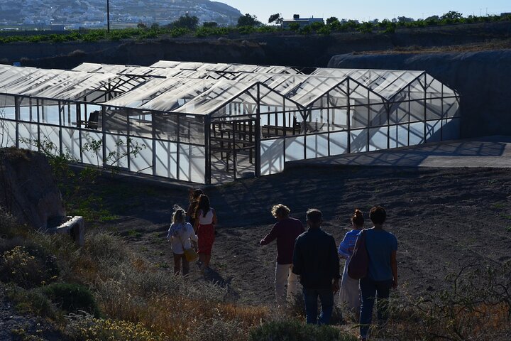 Excursão gastronômica e vinícola na fazenda familiar de Santorini com aula de culinária