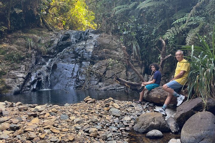 Tour di birdwatching di El Quetzal da Cobán: l'uccello nazionale del Guatemala