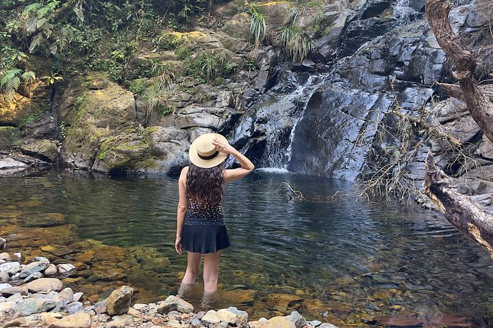 Tour di birdwatching di El Quetzal da Cobán: l'uccello nazionale del Guatemala