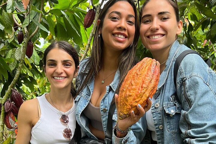 Visite des sources chaudes de cacao et de Santa Rosa au départ de Pereira ou d'Arménie