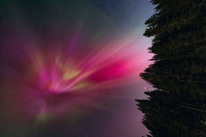 Rovaniemi : Northern Lights Hunt + Foto's & 100% garantie restitutie