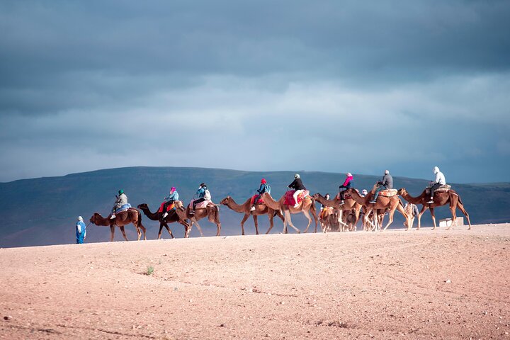 Agafay Desert Dinner Show with Quad Bike and Sunset Camel Ride