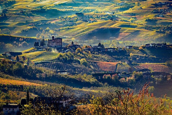 Piedmont Winery Tour: Goûter Barolo, Barbaresco et nourriture traditionnelle