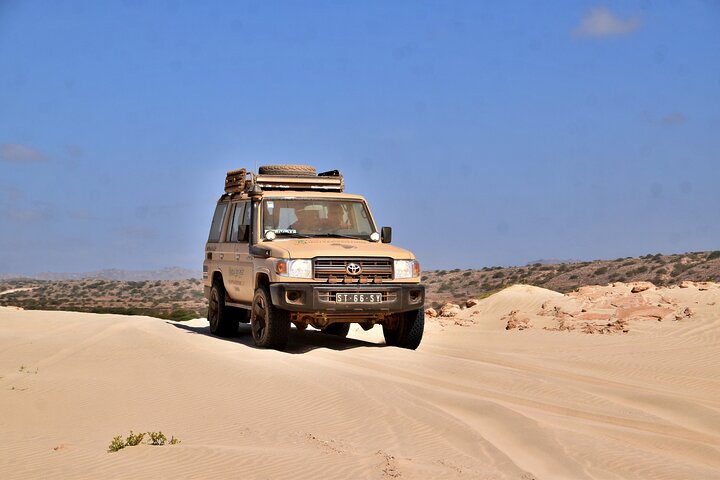 Expedición en Jeep Boa Vista : Santa Mónica & Desert (4 - Hora)