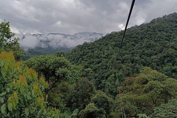 Private Mindo Cloud Forest Experience