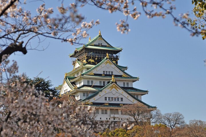 Aanpasbaar privétourbezoek in Nagoya met transfer inbegrepen