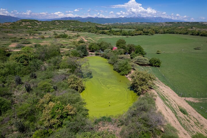 Gemeenschaps- en biodiversiteitsrondleiding door de Tatacoa-woestijn vanuit Neiva