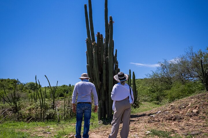 Gemeenschaps- en biodiversiteitsrondleiding door de Tatacoa-woestijn vanuit Neiva