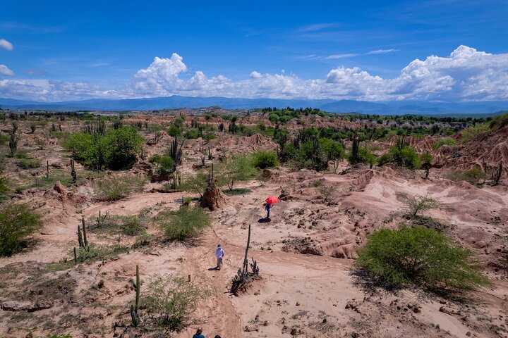 Gemeenschaps- en biodiversiteitsrondleiding door de Tatacoa-woestijn vanuit Neiva