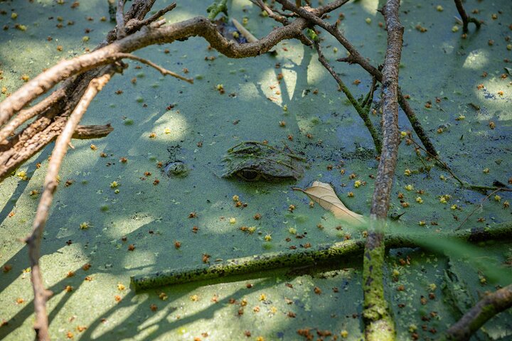 Gemeenschaps- en biodiversiteitsrondleiding door de Tatacoa-woestijn vanuit Neiva