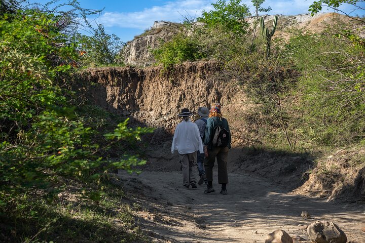 Gemeenschaps- en biodiversiteitsrondleiding door de Tatacoa-woestijn vanuit Neiva