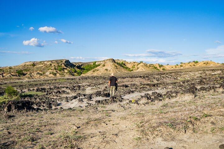 Gemeenschaps- en biodiversiteitsrondleiding door de Tatacoa-woestijn vanuit Neiva