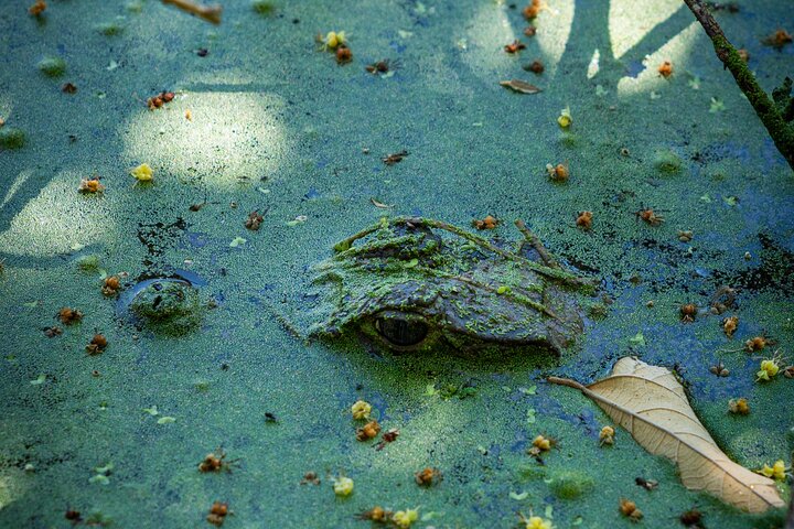 Gemeenschaps- en biodiversiteitsrondleiding door de Tatacoa-woestijn vanuit Neiva