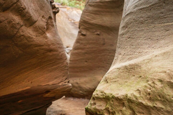 Gemeenschaps- en biodiversiteitsrondleiding door de Tatacoa-woestijn vanuit Neiva
