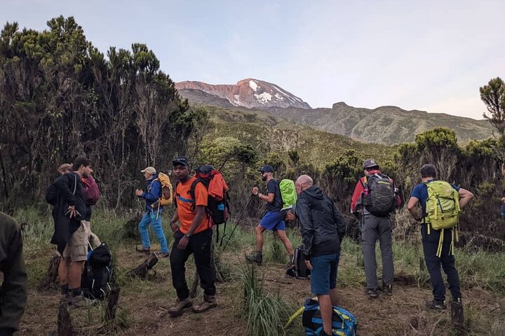 La mejor caminata de 1 día por el Kilimanjaro Machame con Kilinge Adventure