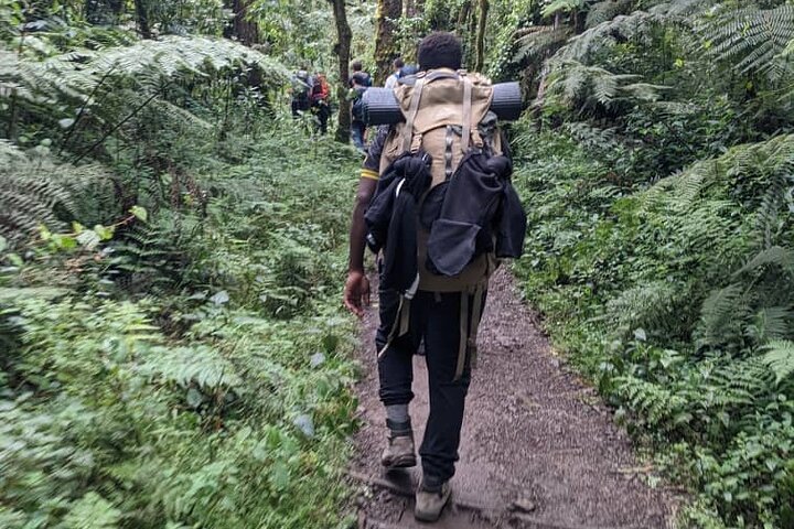La mejor caminata de 1 día por el Kilimanjaro Machame con Kilinge Adventure